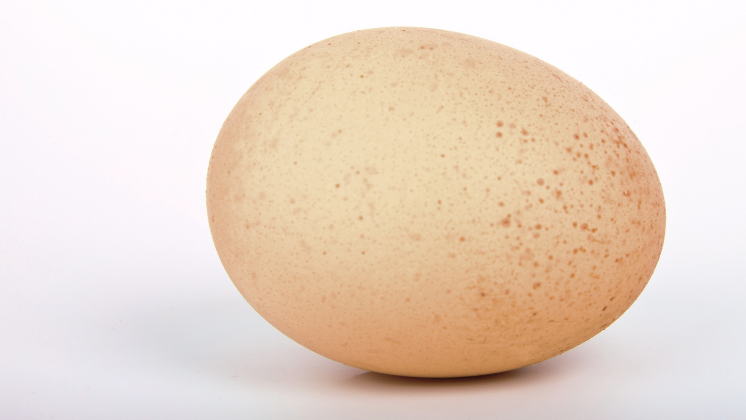 reason for pigmentation